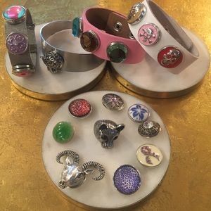 Bracelets with snap interchangeable jewelry